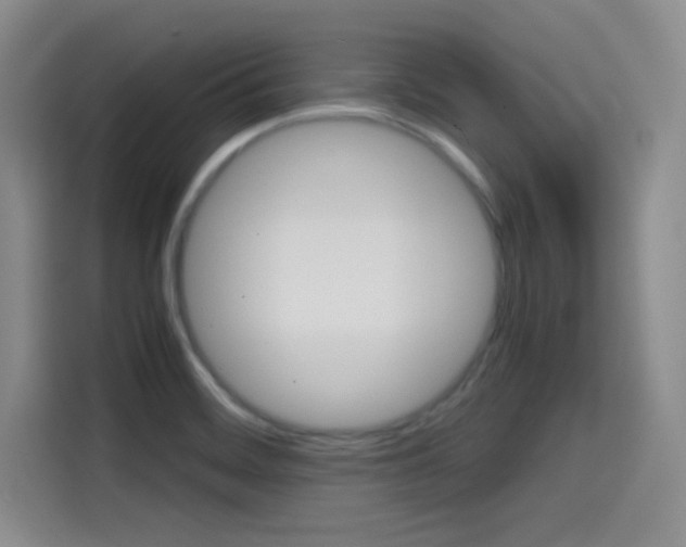 X0000114641468200910200931