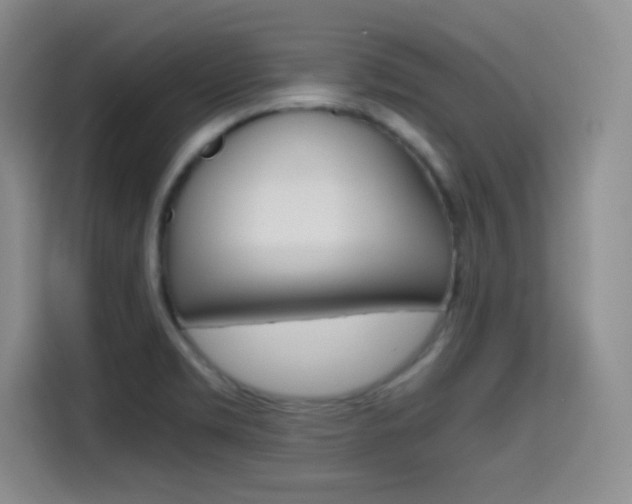 X0000114641469200910200931