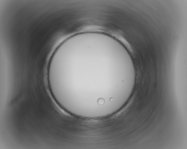 X0000114641470200910200931