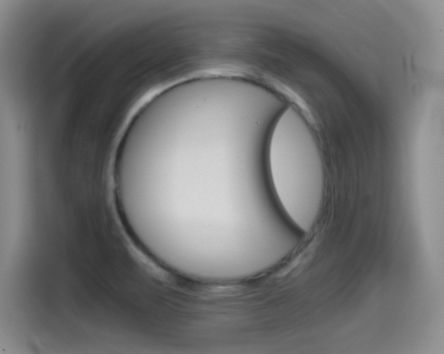 X0000114641471200910200931