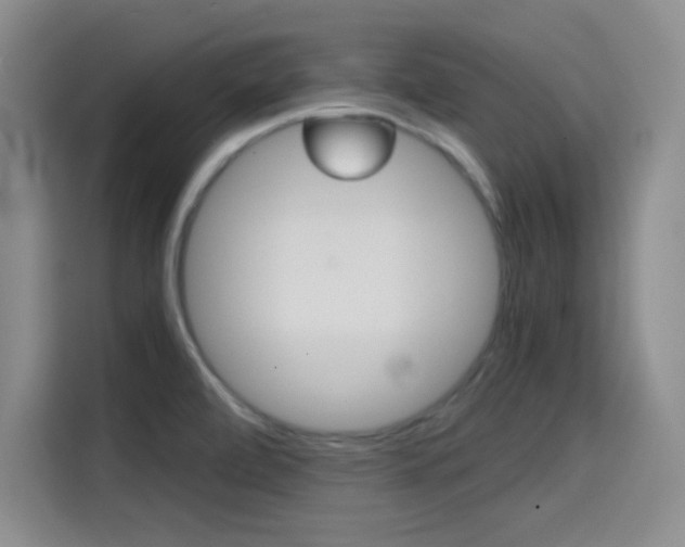 X0000114641472200910200931