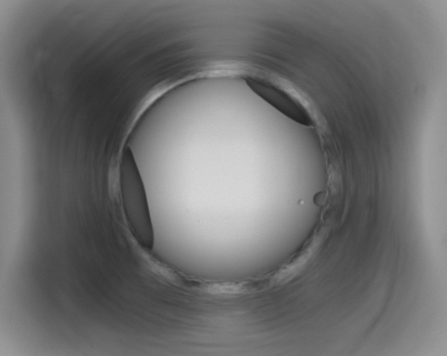 X0000114641473200910200931