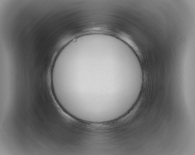 X0000114641474200910200931