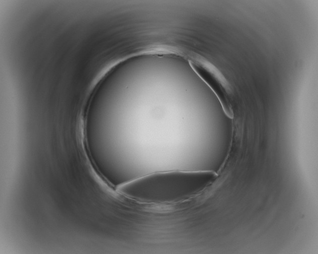 X0000114641476200910200931
