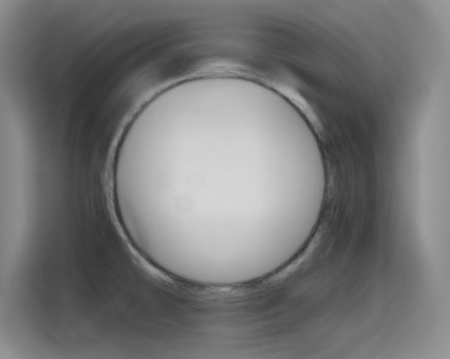 X0000114641478200910200931