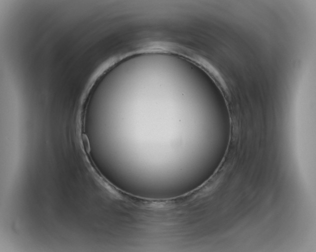 X0000114641480200910200931