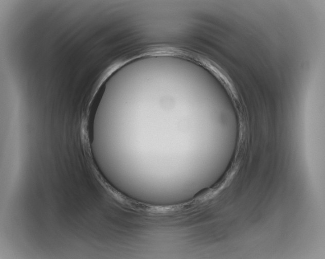 X0000114641481200910200931