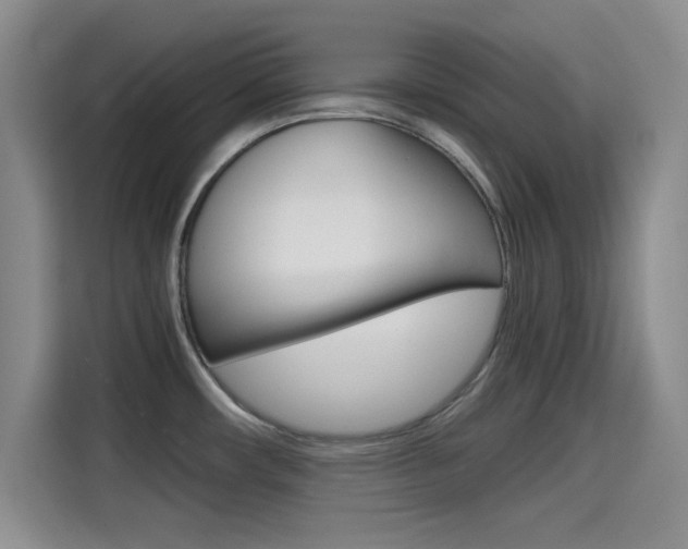 X0000114641482200910200931