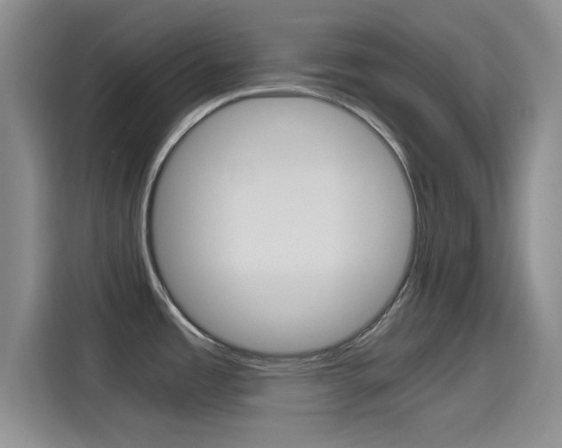 X0000114641485200910200931