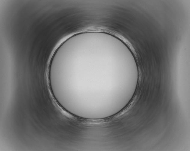 X0000114641486200910200931