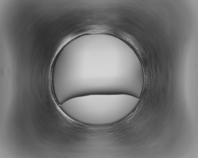 X0000114641487200910200930