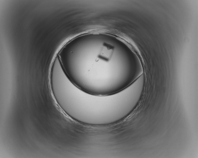 X0000114641488200910200930