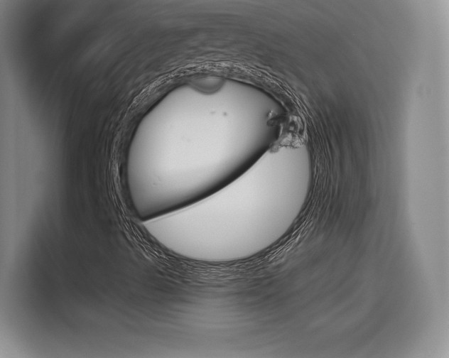 X0000114641489200910200930