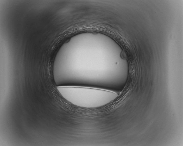 X0000114641490200910200930