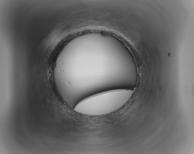 X0000114641495200910200930