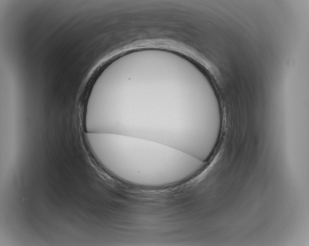 X0000114641498200910200930