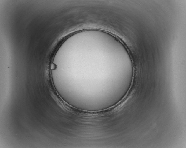 X0000114641499200910200930