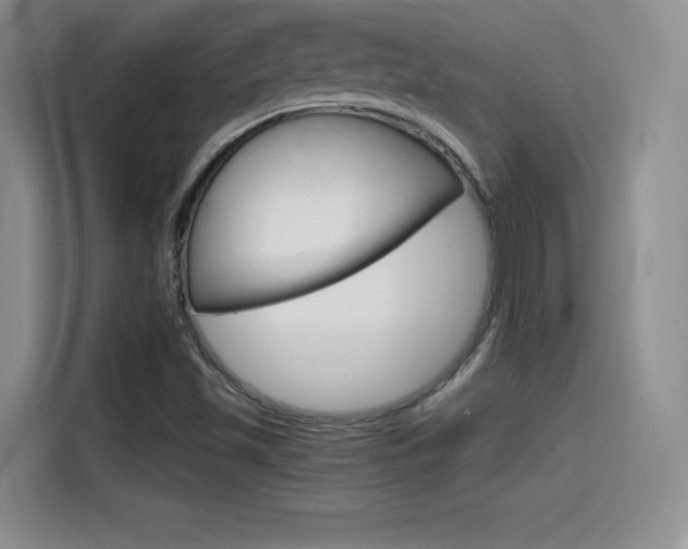 X0000114641501200910200930
