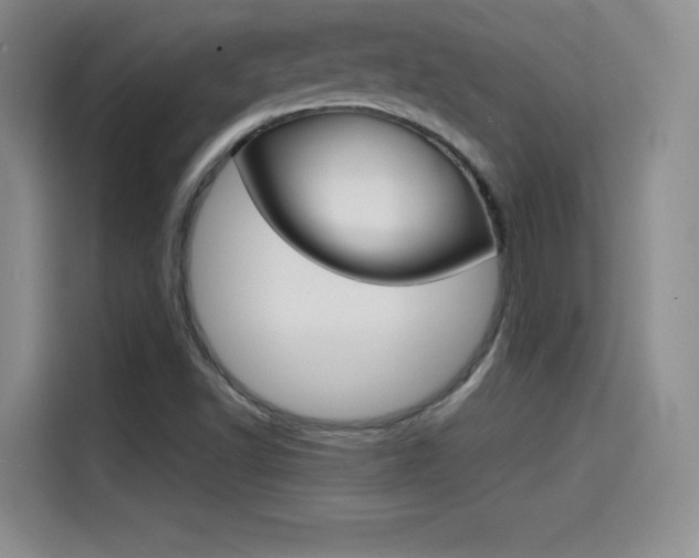 X0000114641502200910200930