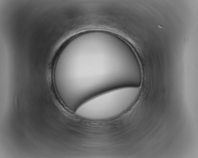 X0000114641503200910200930
