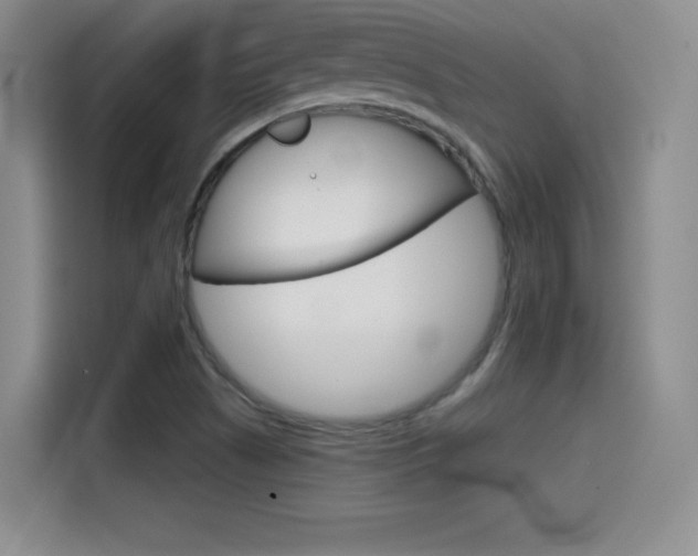 X0000114641505200910200930