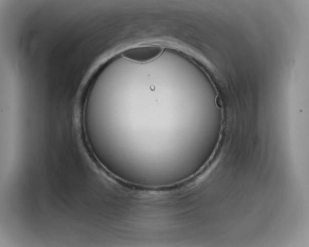 X0000114641506200910200930