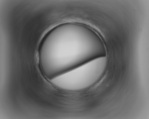 X0000114641509200910200930