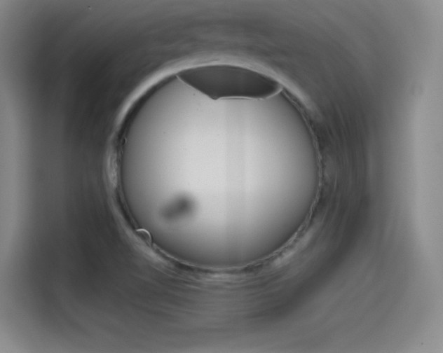X0000114641510200910200930