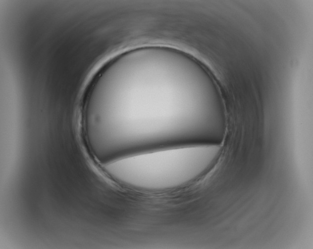X0000114641511200910200930