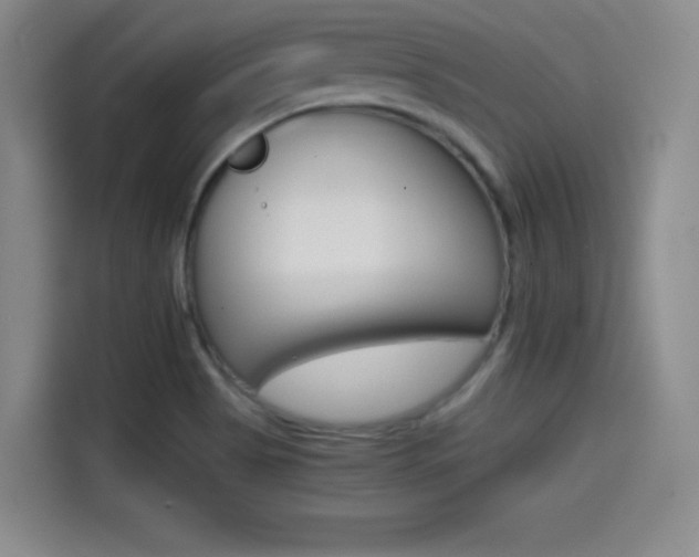 X0000114641513200910200930