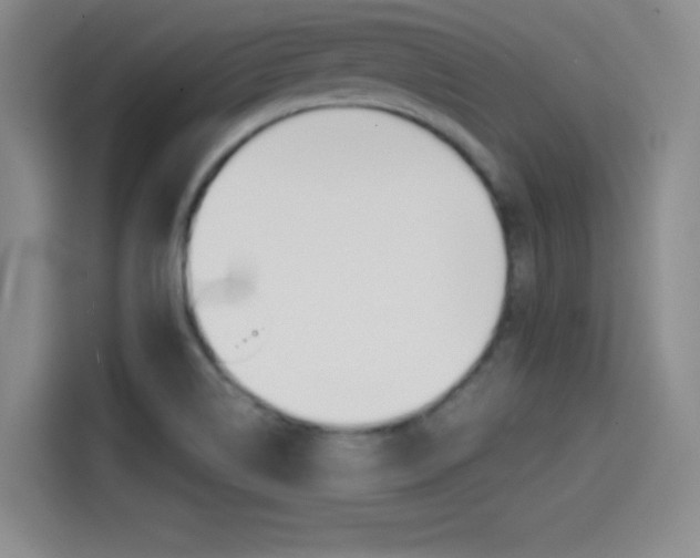 X0000114641514200910200930