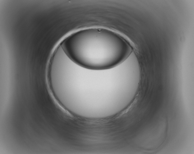 X0000114641518200910200930