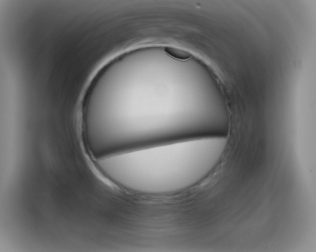 X0000114641519200910200930