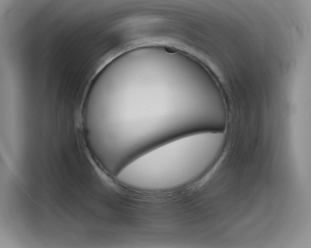 X0000114641521200910200930