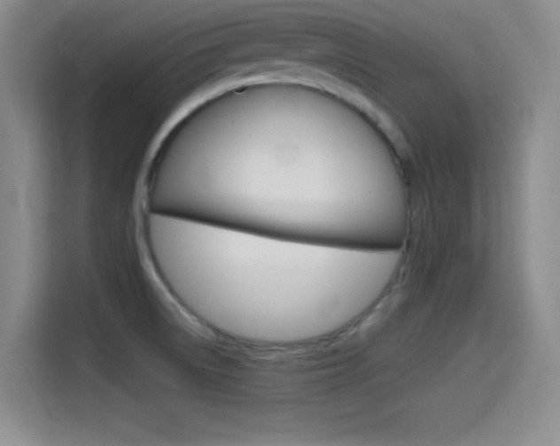 X0000114641522200910200930