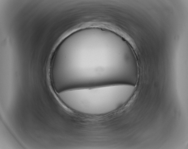 X0000114641525200910200930
