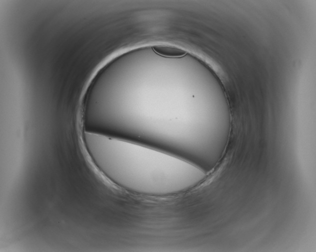 X0000114641526200910200930