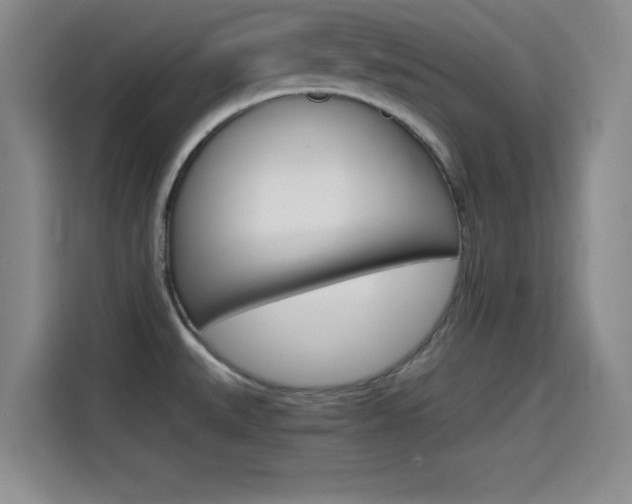 X0000114641527200910200930