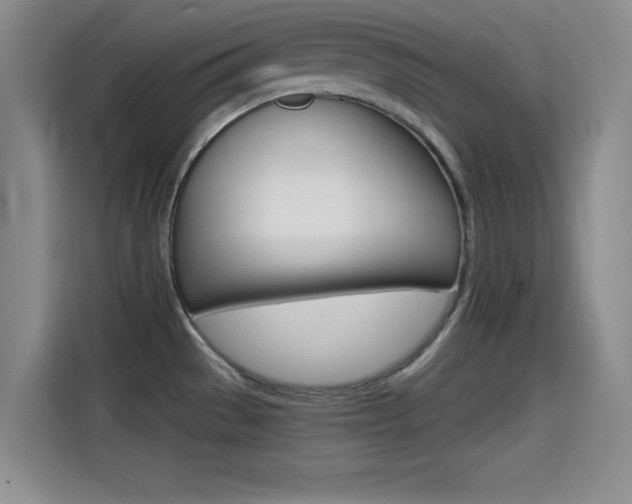 X0000114641529200910200930