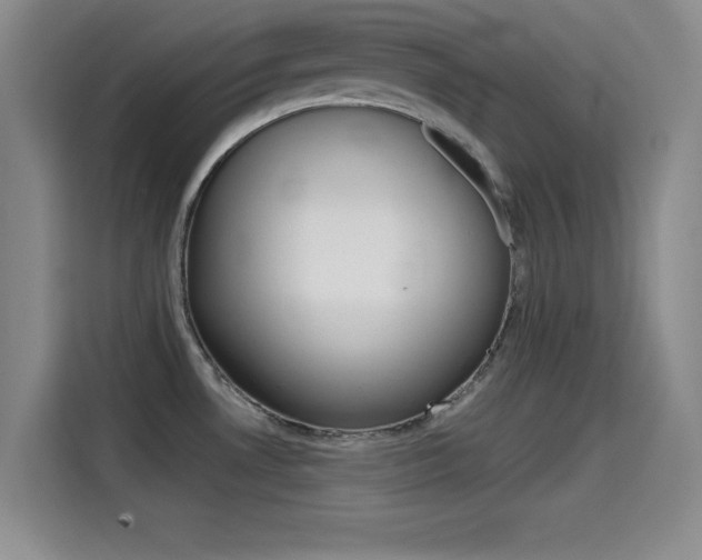 X0000114641530200910200930