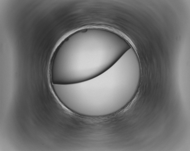 X0000114641533200910200930