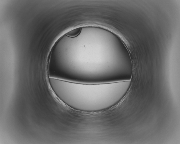 X0000114641534200910200930