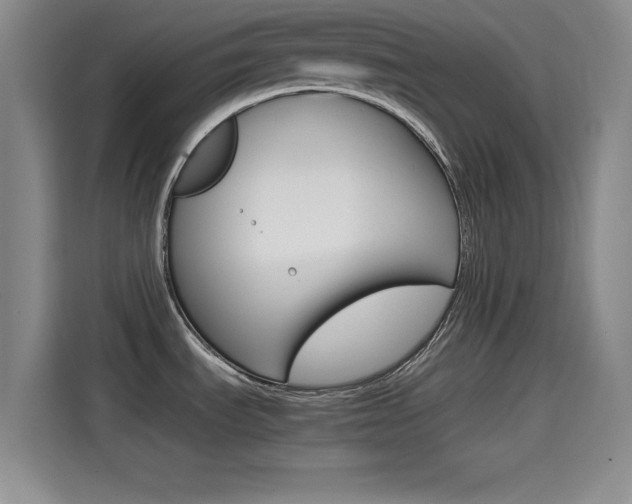 X0000114641535200910200930