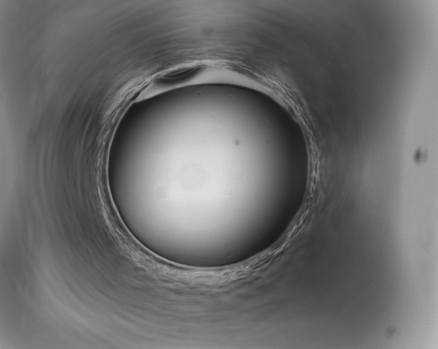 X0000114640001200910201453