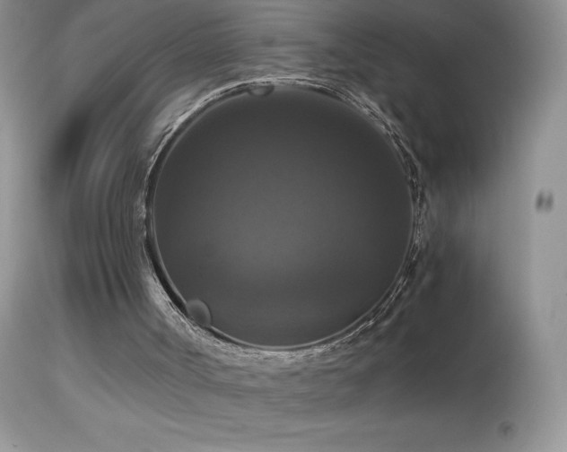 X0000114640002200910201453