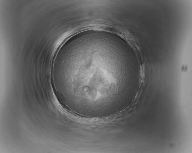 X0000114640003200910201453