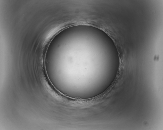 X0000114640005200910201453
