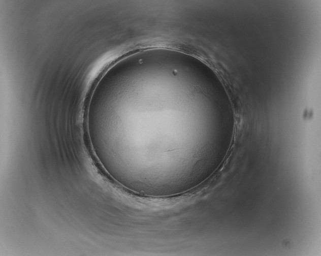 X0000114640006200910201453