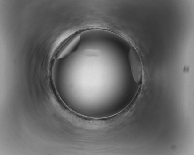 X0000114640008200910201453