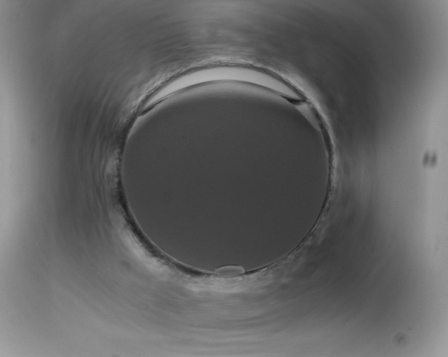 X0000114640009200910201453